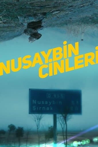 Movie poster for Nusaybin Cinleri