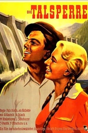 Movie poster for Priehrada