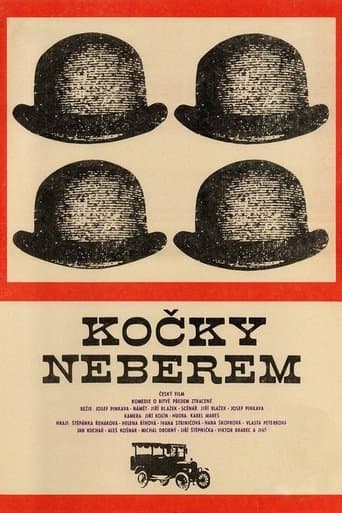 Movie poster for Kočky neberem
