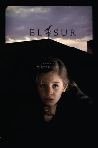 Movie poster for El Sur