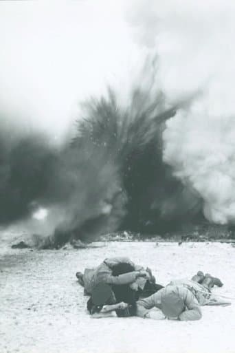 Movie poster for In Defense of the Nation