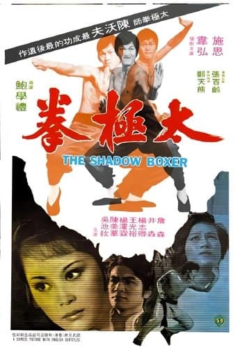 Movie poster for The Shadow Boxer