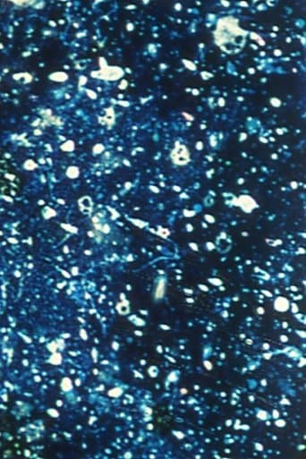 Movie poster for Ephemeral Solidity