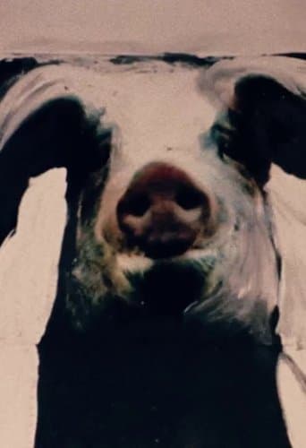 Movie poster for The Trail of the Pig
