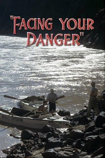 Movie poster for Facing Your Danger