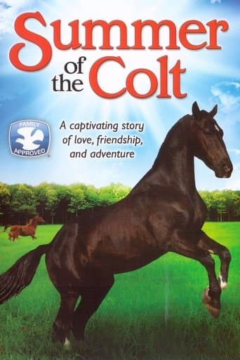 Movie poster for Summer of the Colt