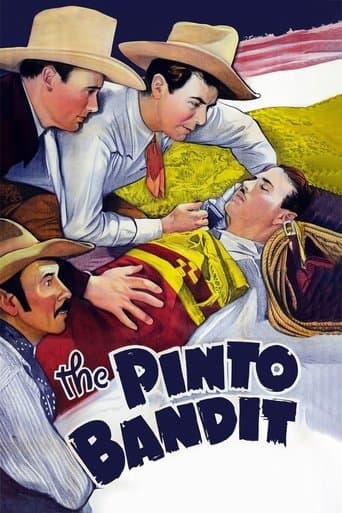 Movie poster for The Pinto Bandit