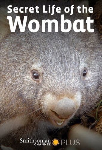 Movie poster for Secret Life of the Wombat