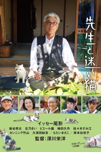 Movie poster for Teacher and Stray Cat