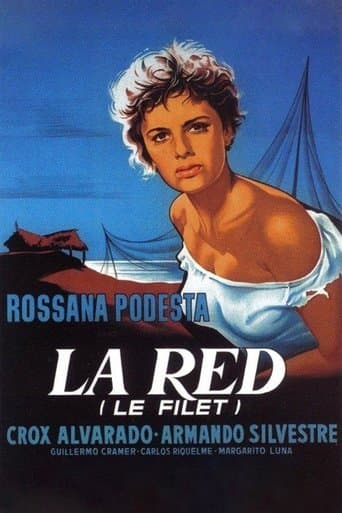 Movie poster for The Net