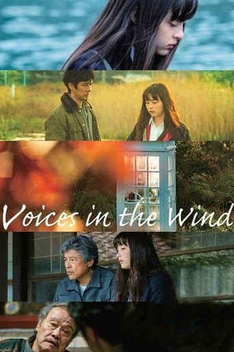 Movie poster for Voices in the Wind