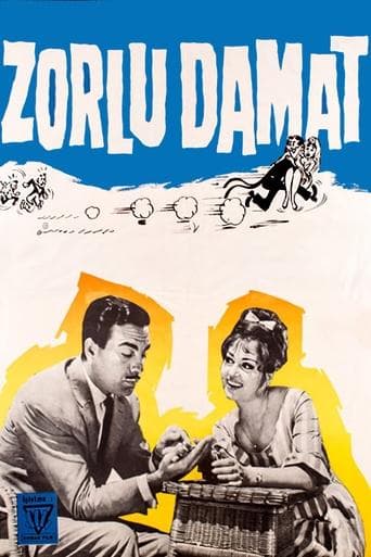 Movie poster for The Tough Groom