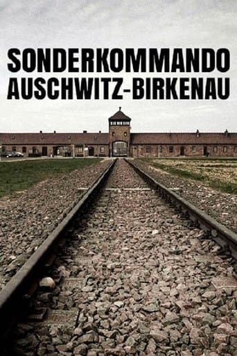 Movie poster for Sonderkommando Auschwitz-Birkenau