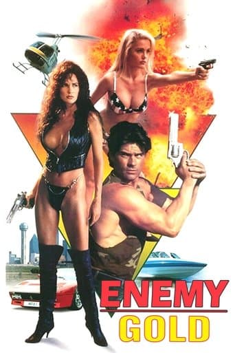 Movie poster for Enemy Gold