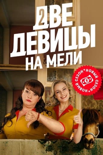 Movie poster for Two Broke Girls