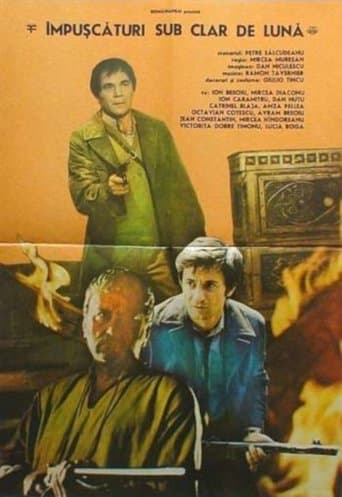 Movie poster for Shootings Under the Moonlight