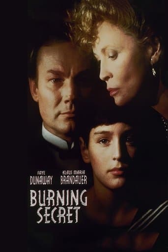 Movie poster for Burning Secret