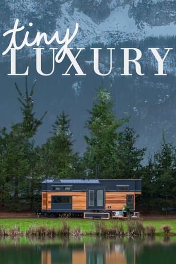 Movie poster for Tiny Luxury