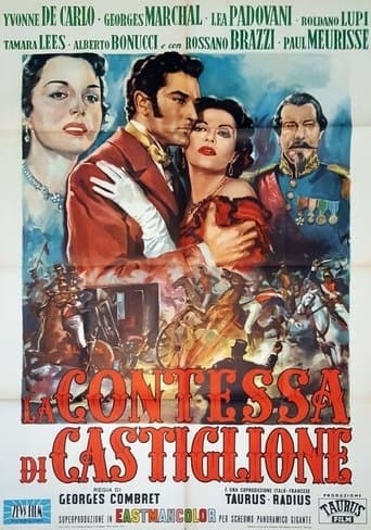 Movie poster for The Contessa's Secret