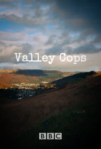 Movie poster for Valley Cops