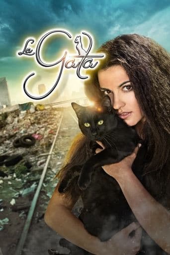 Movie poster for The Stray Cat