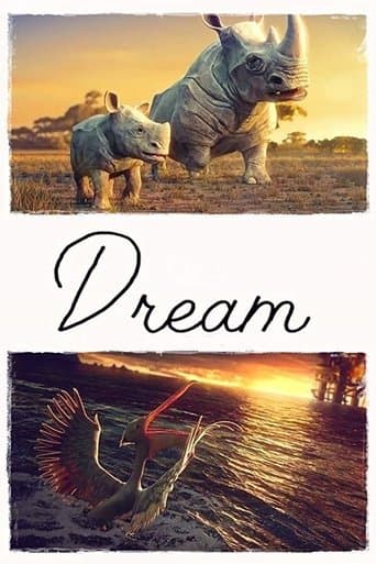 Movie poster for Dream
