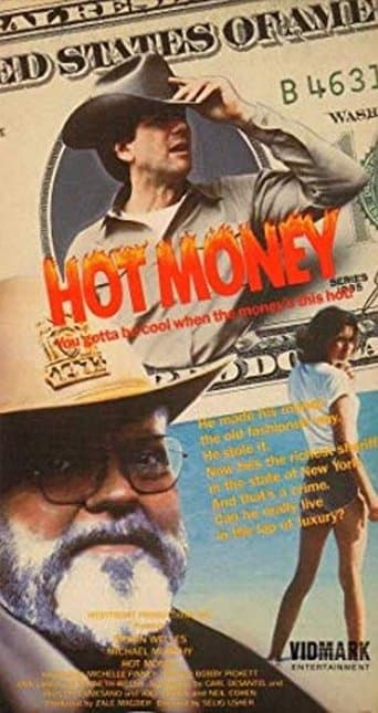 Movie poster for Hot Money