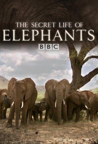 Movie poster for The Secret Life of Elephants