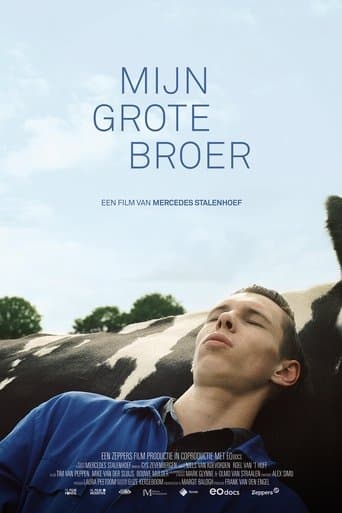 Movie poster for Mijn grote broer