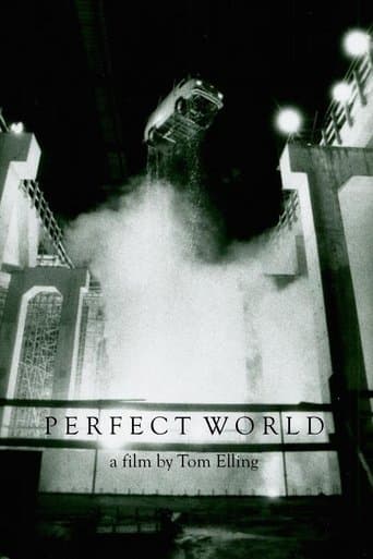 Movie poster for Perfect World