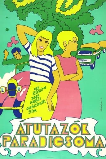 Movie poster for Objížďka