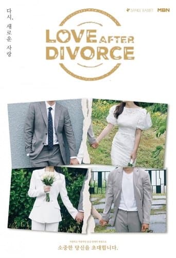 Movie poster for Love After Divorce