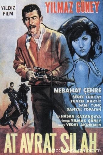 Movie poster for Horse, Woman and Gun