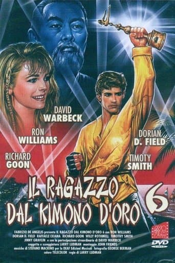 Movie poster for Karate Warrior 6