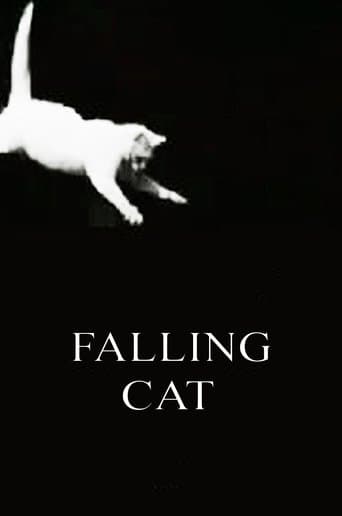 Movie poster for Falling Cat