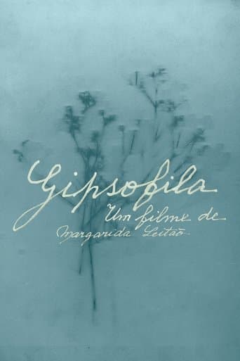 Movie poster for Gypsophila