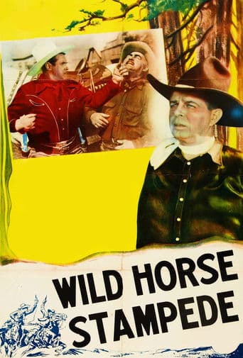 Movie poster for Wild Horse Stampede