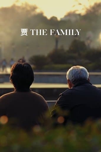 Movie poster for The Family