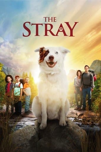 Movie poster for The Stray