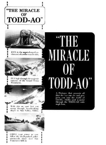 Movie poster for The Miracle of Todd-AO