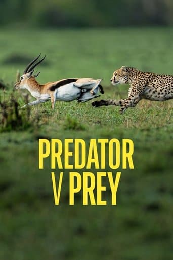 Movie poster for Predator v Prey