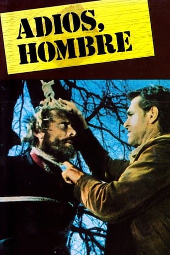 Movie poster for Adios, Hombre
