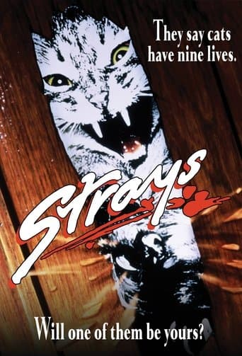 Movie poster for Strays