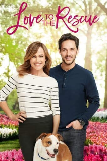 Movie poster for Love to the Rescue