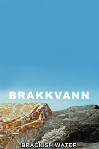 Movie poster for Brackish Water