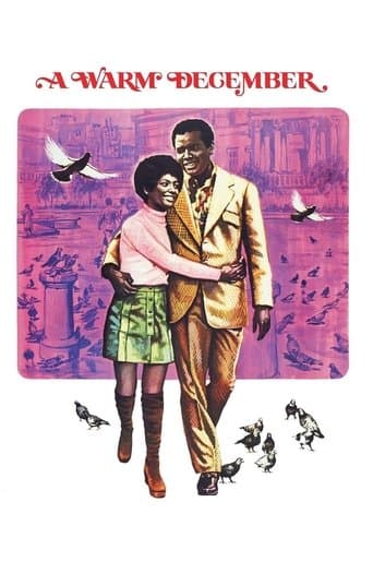 Movie poster for A Warm December