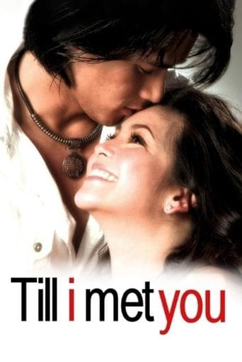 Movie poster for Till I Met You