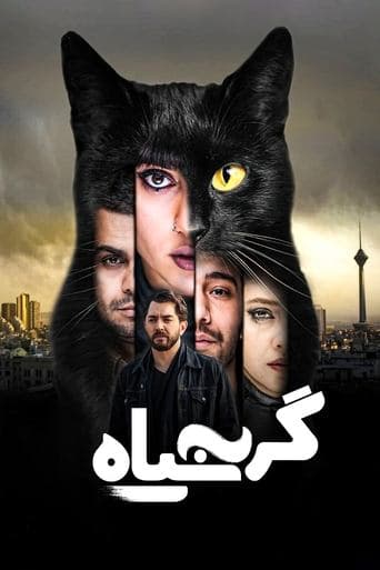 Movie poster for The Black Cat