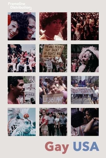 Movie poster for Gay USA