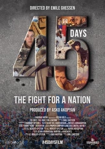 Movie poster for 45 Days: The Fight for a Nation